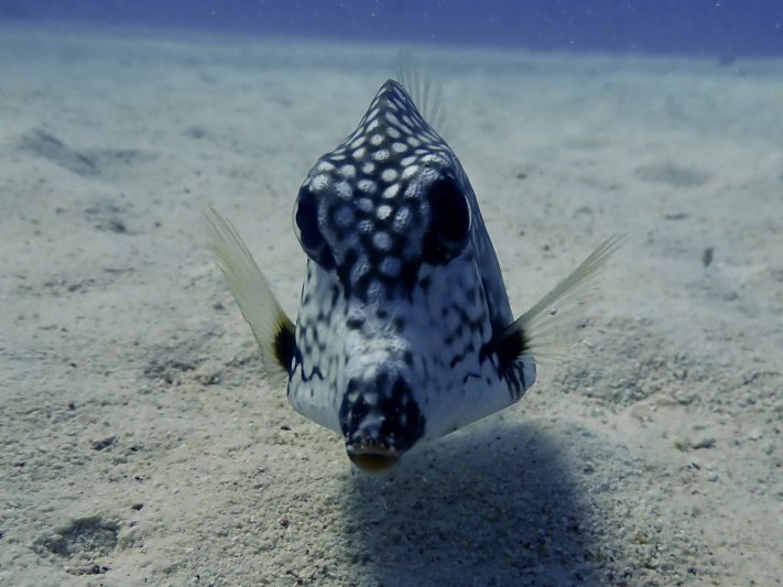 Bonaire 2023 