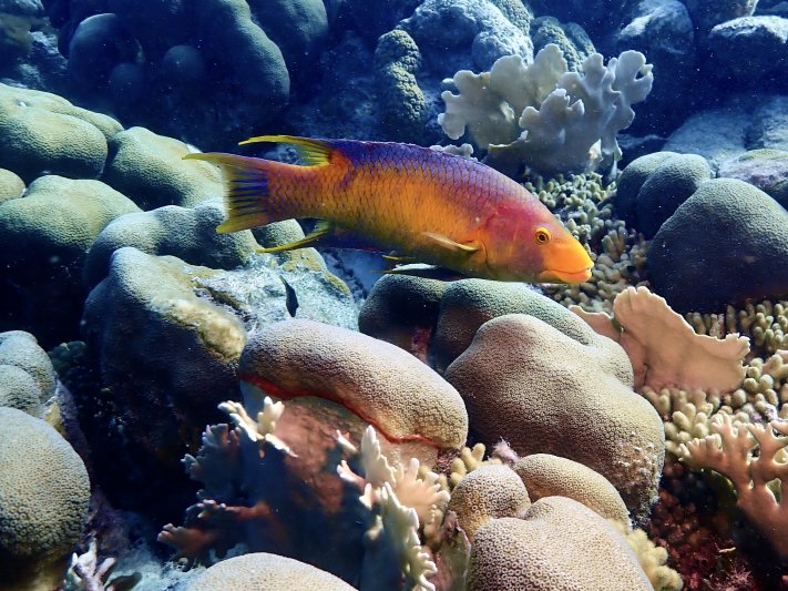 Bonaire 2023 